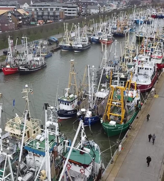 Stellenangebot: Update: Stellungnahme zur Küstenfischerei