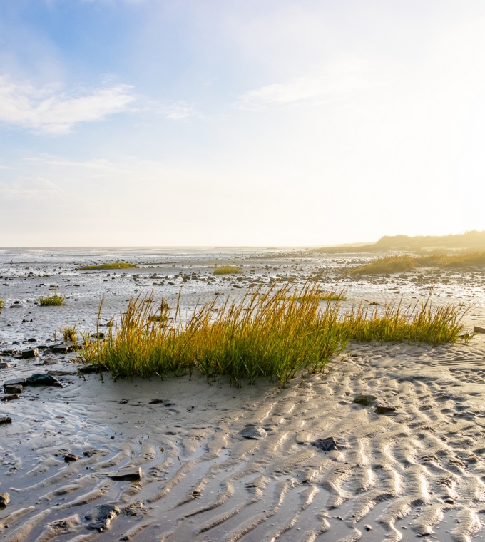 Stellenangebot: Save the date: 13. Weltnaturerbeforum