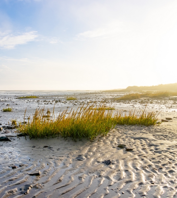 Stellenangebot: Save the date – 14. Weltnaturerbeforum am 06. November 2025