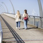 Brücke am Wangermeer