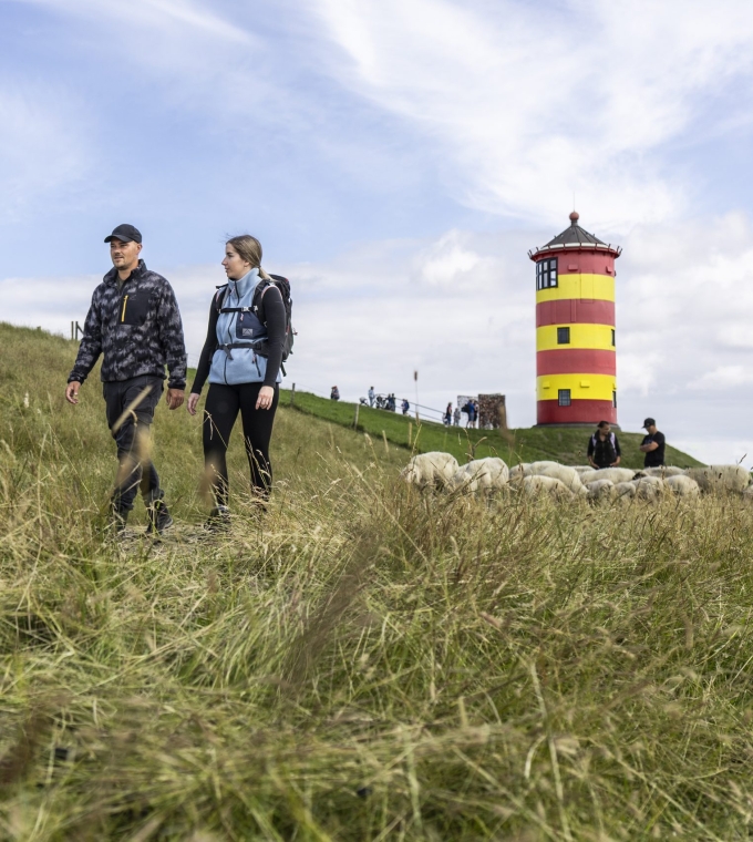 Stellenangebot: Nordsee-Wandertage 2025