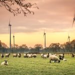 Windkraftanlagen der ENERCON Global GmbH in Bagband im Landkreis Aurich.