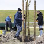 Baumpflanzung auf Spiekeroog