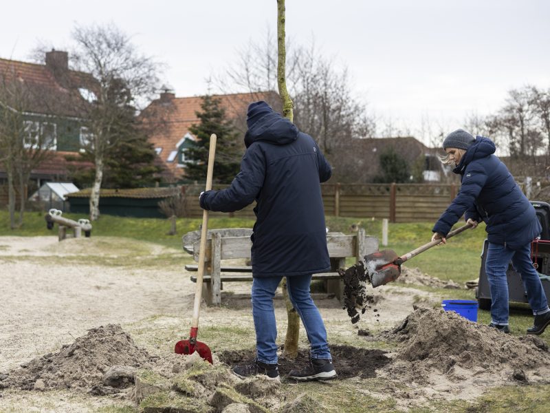 Baumpflanzung auf Spiekeroog