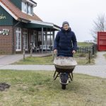 Helfer mit Schubkarre bei Pflanzaktion auf Spiekeroog