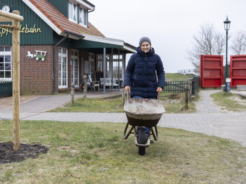 Helfer mit Schubkarre bei Pflanzaktion auf Spiekeroog