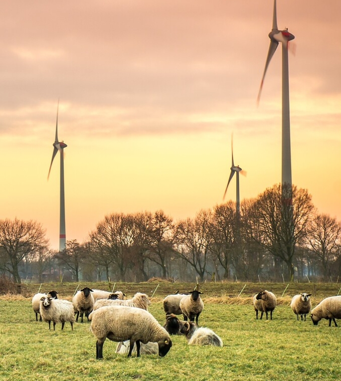 EmpCo-Richtlinie: Unterstützung für touristische Akteure