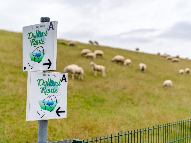 Beschilderung Dollard Route