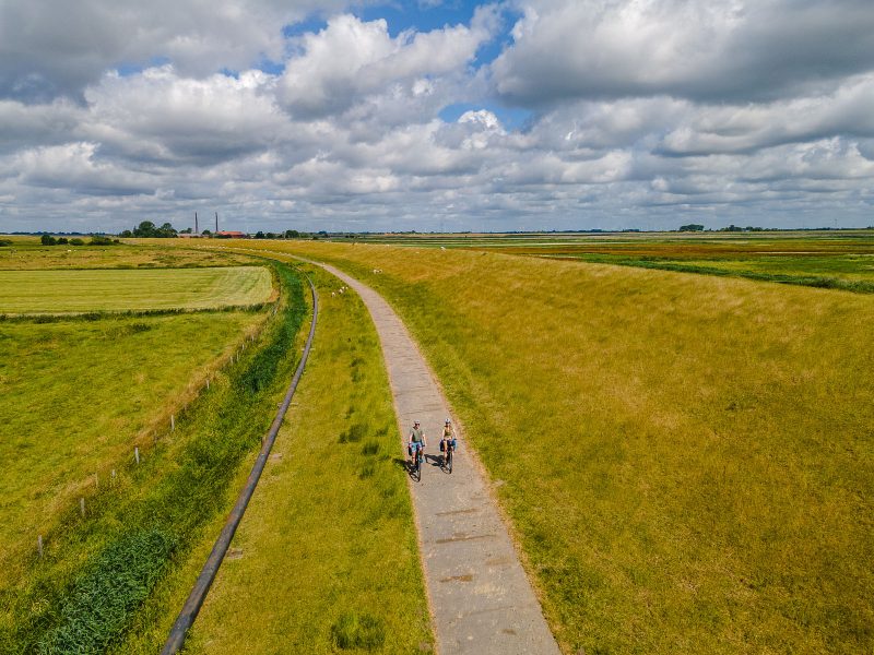 Radfahrer am Deich bei Midlum - Emsradweg